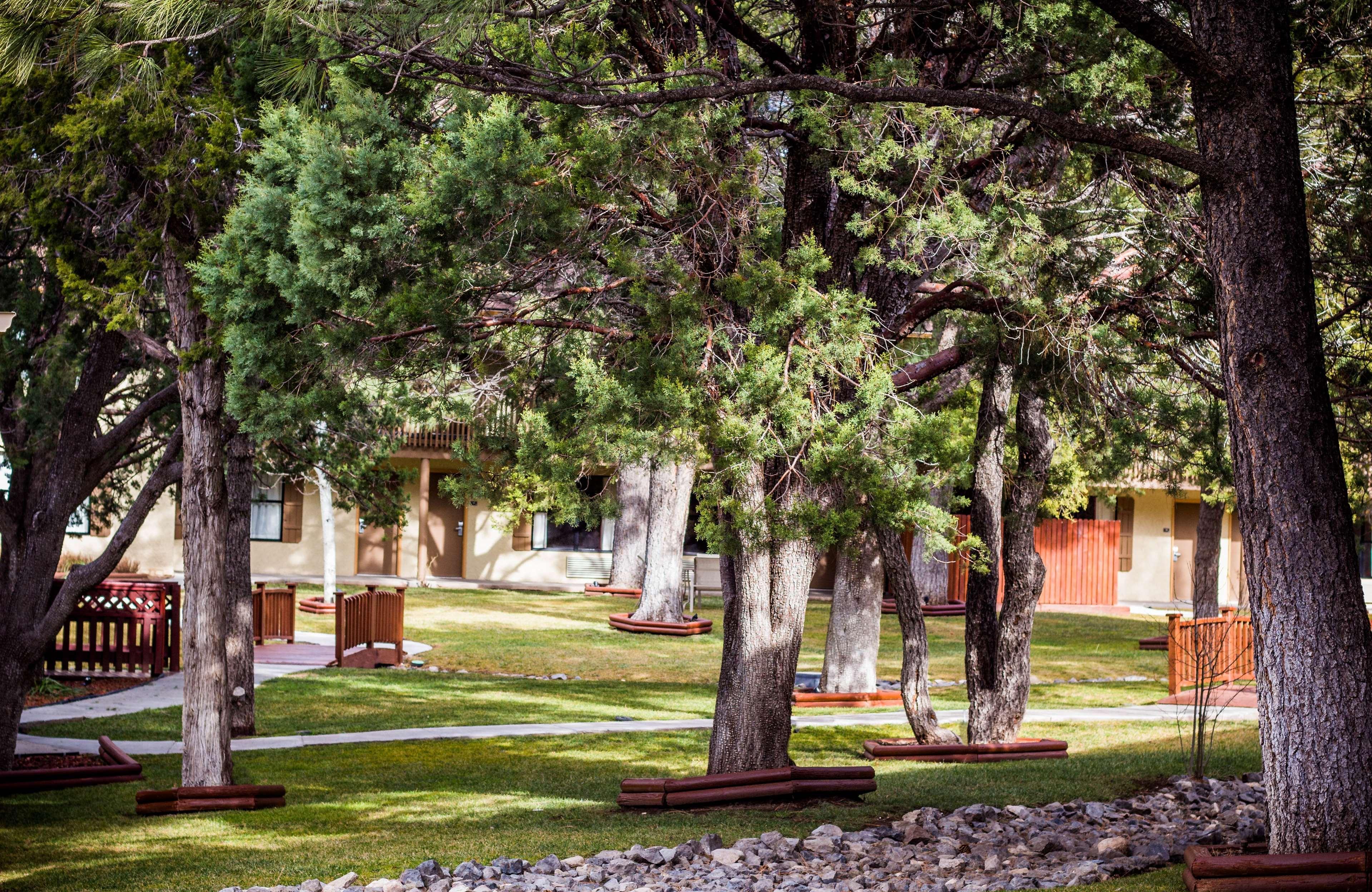 Best Western Pine Springs Inn Ruidoso Downs Exteriör bild