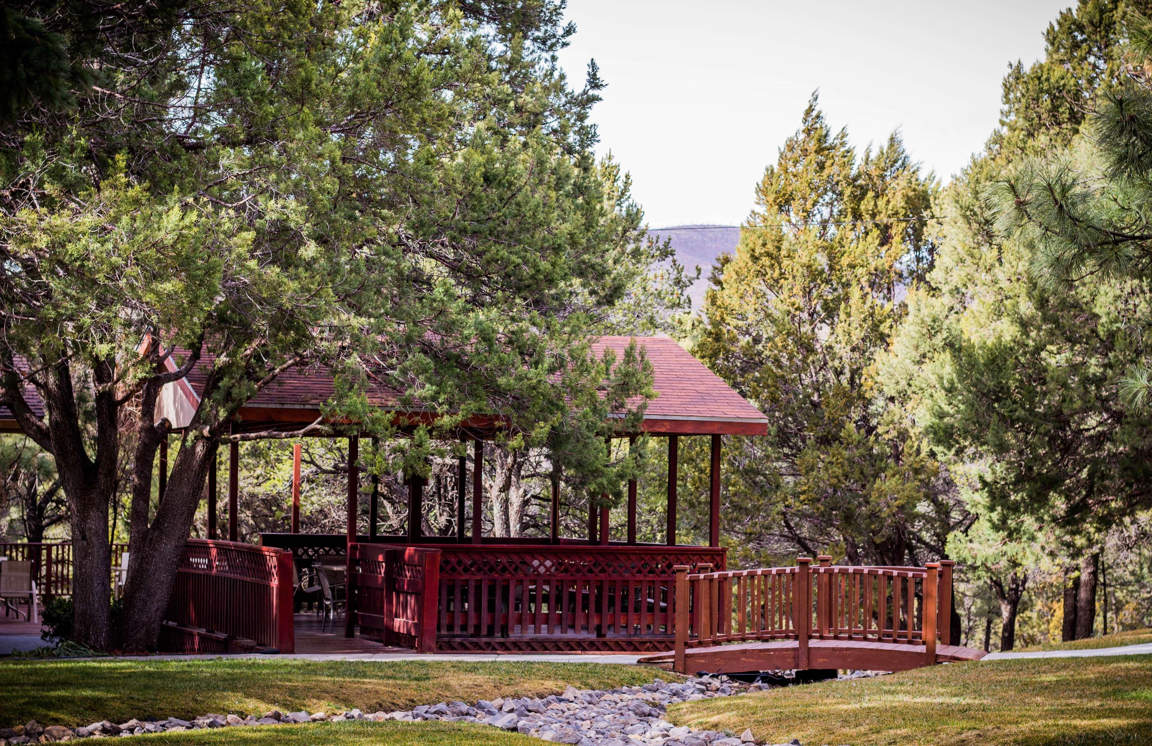 Best Western Pine Springs Inn Ruidoso Downs Exteriör bild